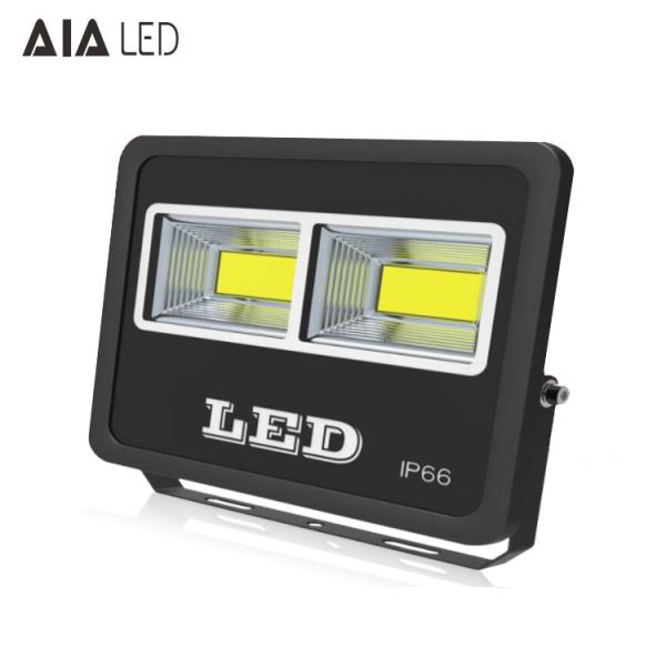 Modern aluminum 60degree led flood lights COB 100W Flood light for commerical