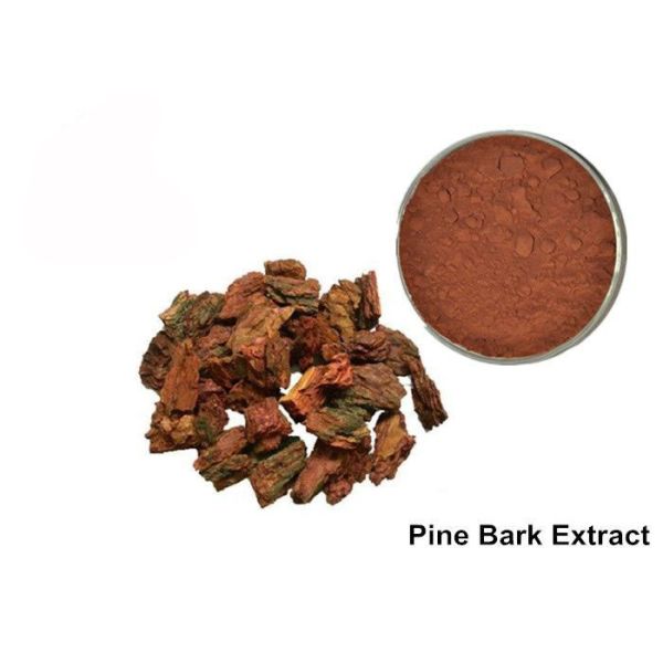 Buy cheap Anti Aging OPC Pine Bark Extract Powder For Cosmetics from wholesalers