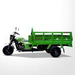 Front/Rear Tire 5.0-12 Heavy Duty Battery Powered Cargo Bike Tricycle with 175cc