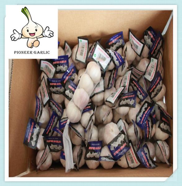 Buy cheap 2016 fresh normal white garlics packed in 10kg box Low Price Chinese Fresh Garlic 6.0CM from wholesalers