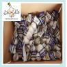 Buy cheap 2016 fresh normal white garlics packed in 10kg box Low Price Chinese Fresh Garlic 6.0CM from wholesalers