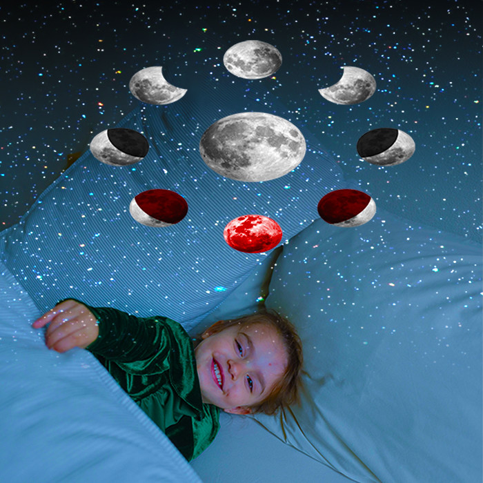 Portable Planetarium LED Projector , Multipurpose Ceiling Planetarium Lights