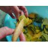Buy cheap 100T/D Mango Processing Line Sus304 One Stop Service from wholesalers