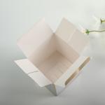 Customized Logo Eco-Friendly Packaging Box For Repair Serum Bottle