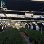 Commercial 30m Tunnel Light Deprivation Greenhouse
