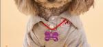 Dog tag necklace engraving machine