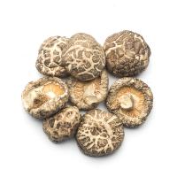 Buy cheap Versatile Dried Flat Shiitake Mushrooms For Culinary product