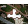 Buy cheap Star Shade VIP Lounge Outdoor Event Tents With Glass Walls from wholesalers