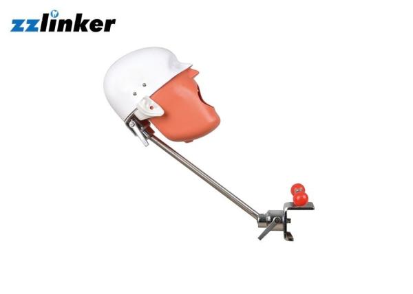 Simple Dental Chair Unit Dental Surgery Practice Phantom Model Head With Clamp