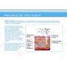 Buy cheap Hifu vertical fat removal focused ultrasound hifu from wholesalers