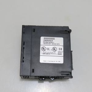 IC693PWR321R GE Power Supply Programmable Control Analog Module