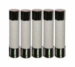 5*20 Time Lag Ceramic Cartridge Fuse For Supplementary Protection RoHS Compliant