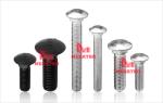 Carriage bolt