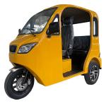 Track Electric Sightseeing Car Semi-enclosed Tourist eTrike Adult eCar