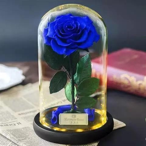 Buy cheap Wholesale Price beauty and the beast roses preserved roses in glass dome Fresh flower rose from wholesalers