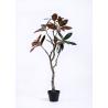 Buy cheap 120cm Artificial Decorative Trees Magnolia , Realistic Fake Plants Plastic Leafs Life Like from wholesalers