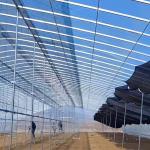 Commercial Greenhouse Single Span Tunnel Film Greenhouse with 30 Days Return