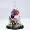 Buy cheap Beauty and the beast roses valentines day real preserved rose in glass that lasting 3 years from wholesalers