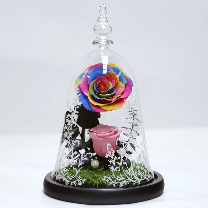 Real Preserved Forever Rose, Eternal Rose, Galaxy Rose, Preserved Flowers Flower Crafts Preserved roses