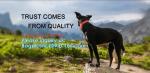 biodegradable Pet Waste Bags Dog Poop Bag, Pet Printing Waste Bags Handle Dog