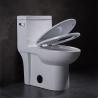 Buy cheap Dual Flush Elongated One Piece Toilet With Soft Closing Seat 1.28gpf/4.8lpf from wholesalers