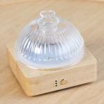 Buy cheap Solid Wood Glass Aroma Diffuser▕ DN-839 from wholesalers