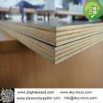 Black film face plywood