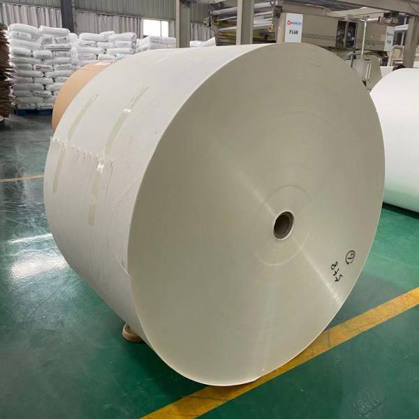 Buy cheap 13gsm 14gsm PE Coated Paper Roll ISO Paper Cup Raw Materials from wholesalers