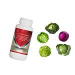 Special Insect Virus Bio Insecticide AcNPV Manage Diseases Of Cruciferous