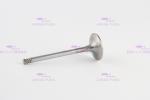 20798699 20849976 Diesel Engine Valve D6E For EC210B EC220D EW145B EW205D