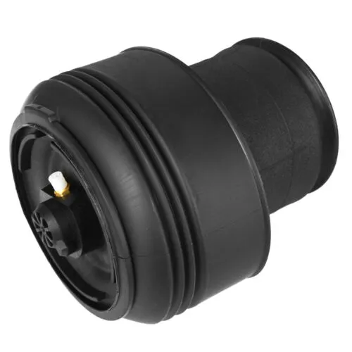 X5/F15/X6/F16 Rear Air Spring