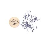 Brass Wood Micro Screws Round Head Anti-Corrosive 15mm-70mm for Marine Outdoor