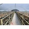 Buy cheap Fast Delivery 8*26 Meters Single Sun Dryer Greenhouse Food Drying Solar Dry Greenhouse from wholesalers