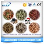 Full Automatic Stainless Steel Pet Food Extruder Production Line with Video
