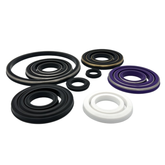 Standard And Non Standard Heat Resistant Buna/HNBR/FKM/PTFE Hammer Union Seals For Oil Equipment Parts