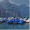 Buy cheap Custom HDPE Poly Tarps 50-300gsm Blue White Heavy Duty Waterproof PE Tarpaulin for Ground from wholesalers