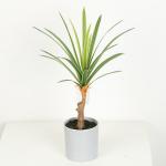 High Imitation Flexible Glue Artificial Dracaena Plant Bonsai 25 CM 32 CM