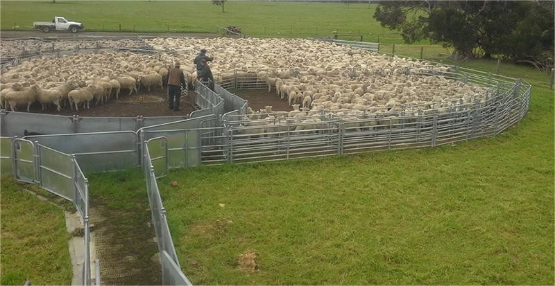 Portable Silver 6ft X 10ft Wire Cattle Panels Weather Resistant