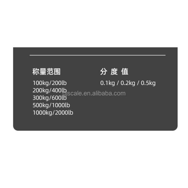 Best Seller Weighing Scale 500Kg Electronic Hanging Crane Scale with Weight Function and 0.1/0.2/0.5kg Division