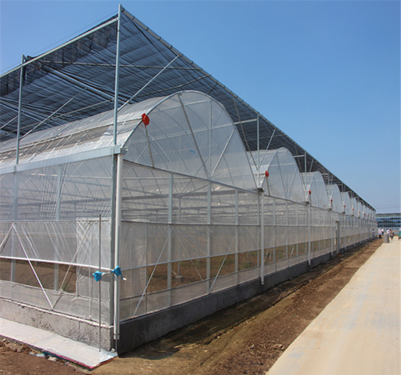 Super Strong Resistance Agriculture Multispan Greenhouse Frame for Growing Vegetables