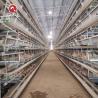 Buy cheap H Type Battery Chicken Farming Cage Chicken Farming Cage Automatic from wholesalers