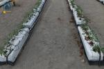 Hydroponic Nutrients Planting Trough PP Roll Growing Gutter For Tomatoes