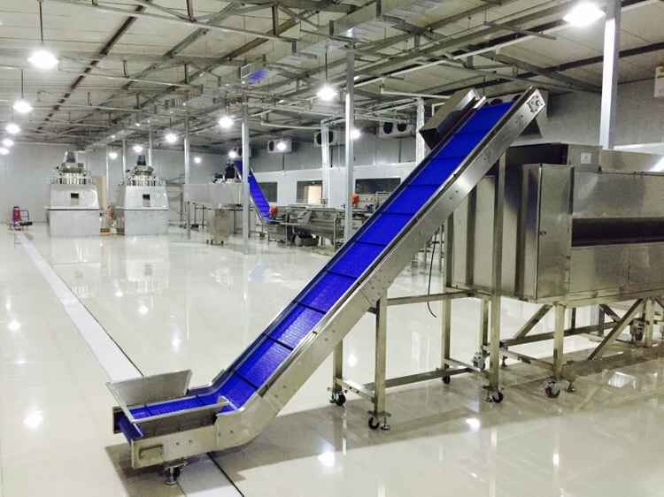 High-Quality Customized Equipment Potato Chicken Frying Machine/Industrial Fryer