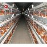 Buy cheap Poultry Farm Layer Cage H Type Full Automatic Chicken 6Tiers from wholesalers