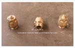 IMPA23339 FH-DN32 Drain Ball Valve BRASS Body NPT Cover Stainless Steel Float