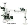 Buy cheap Dual View Multi Viewing Microscope from wholesalers