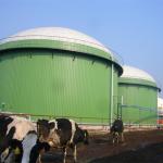 Roof Top Double Membrane Biogas Storage Tanks