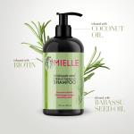 Infused Rosemary Mint Hair Regain Shampoo With Biotin Paraben Free
