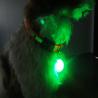 Buy cheap pet safety light with keychain from wholesalers