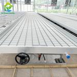 Durable Abs Soilless Culture Ebb Flow Seedling Greenhouse Rolling Benches For
